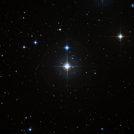 Image of &rho;-For