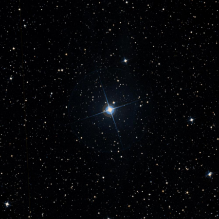 Image of &rho;-Oct