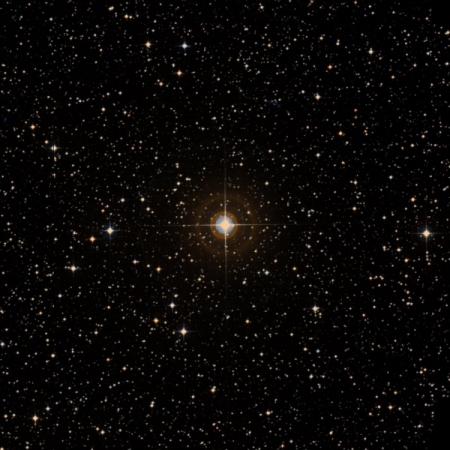 Image of HIP-40944