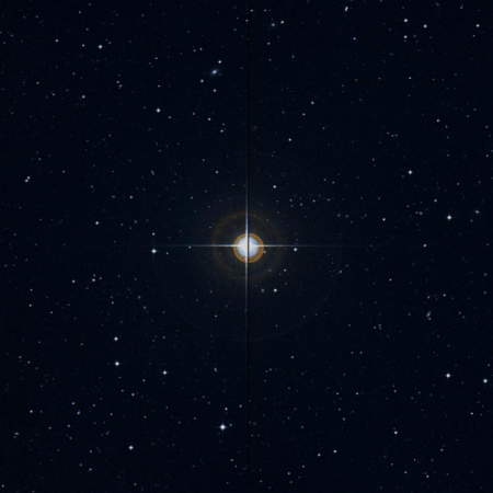 Image of g-Vir