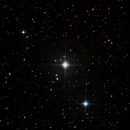 Image of &sigma;-Col