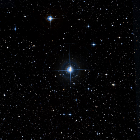 Image of V336-Pup