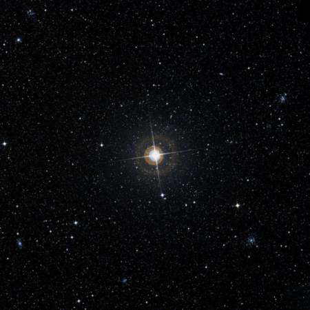 Image of &eta;-Men