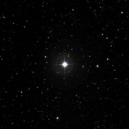 Image of HIP-2942