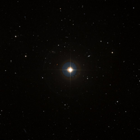 Image of m-Leo