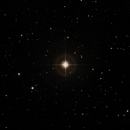 Image of 95-Cet