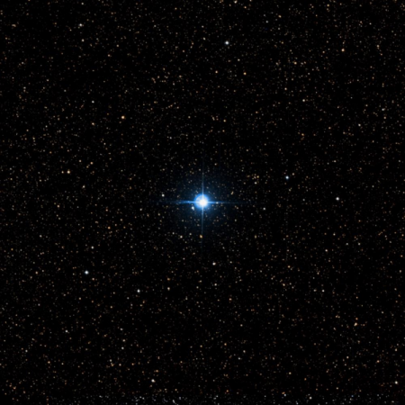 Image of TYC-2124-2557-1