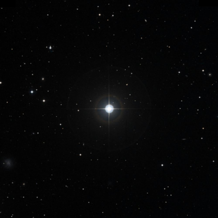 Image of k-Leo