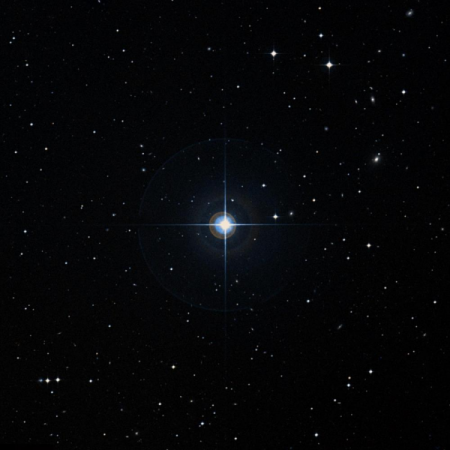 Image of p⁵-Leo