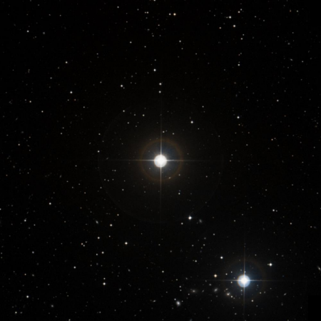 Image of TYC-1193-2067-1