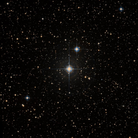 Image of HIP-41817