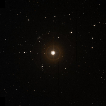 Image of 37-Leo