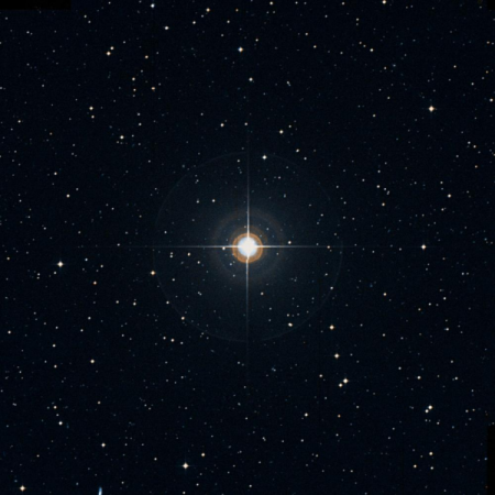 Image of TYC-336-1028-1