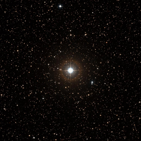 Image of HIP-100541