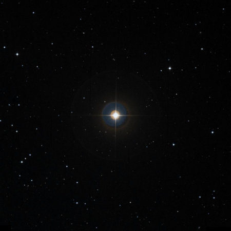 Image of n-Leo