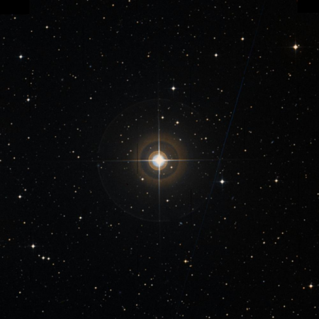 Image of 55-Vir