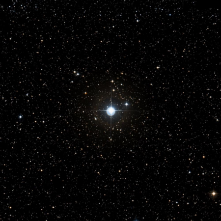 Image of 17-Lyr