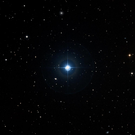 Image of &pi;-Ari