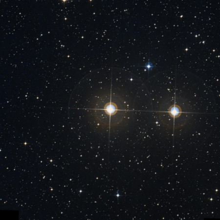 Image of &mu;²-Pav