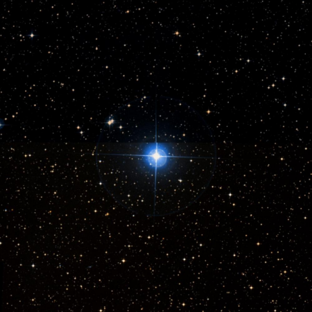 Image of TYC-8928-2911-1
