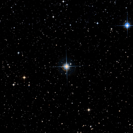Image of x-Pup