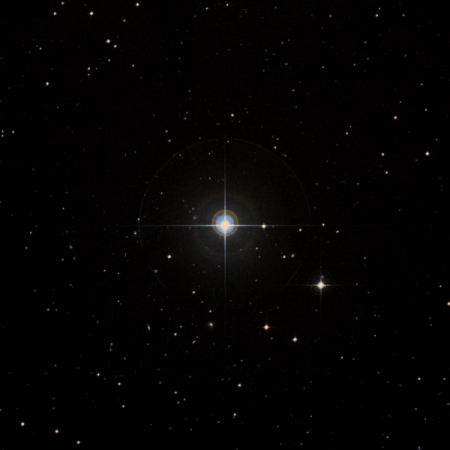 Image of HIP-3505