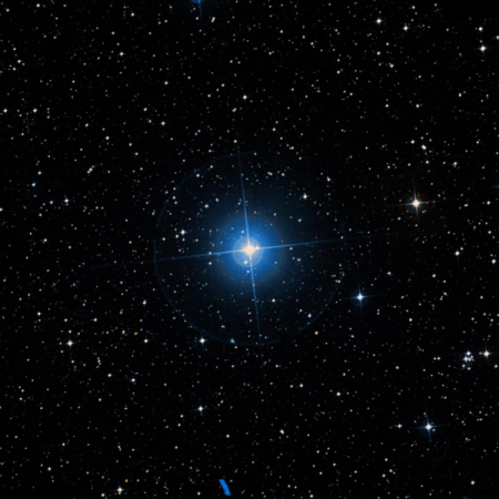 Image of &eta;-Vol