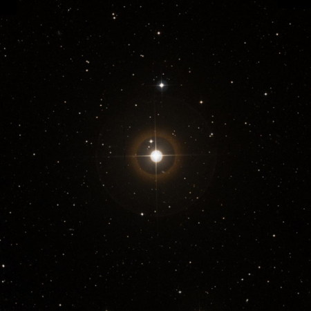 Image of HIP-81437