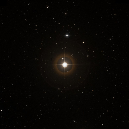 Image of HIP-81437