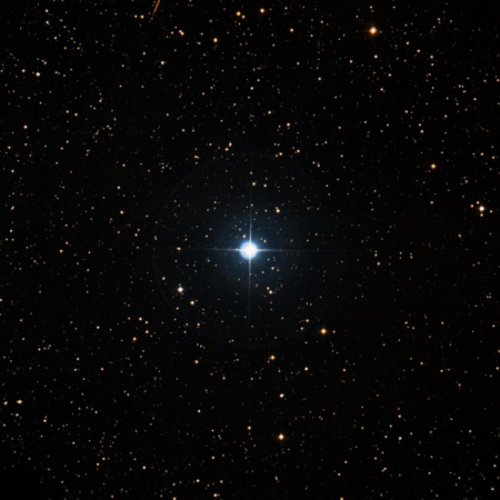 Image of l-Tau