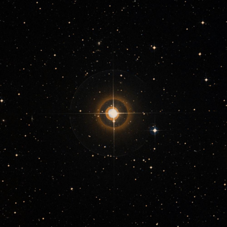 Image of h-Vir