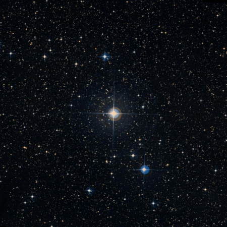Image of HIP-39061