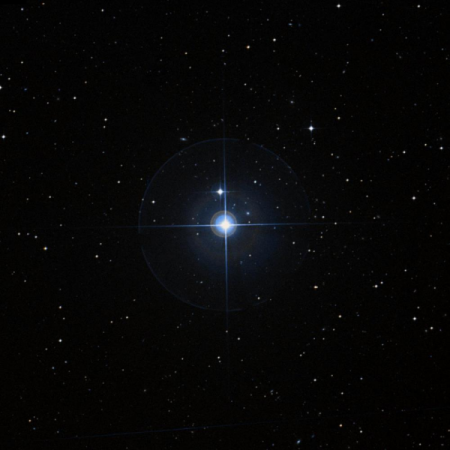 Image of &mu;-For