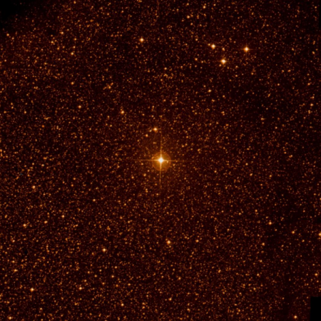 Image of TYC-8707-1990-2