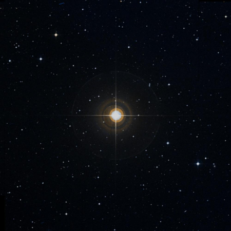 Image of 49-Vir