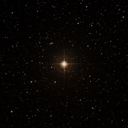 Image of &upsilon;-Cap