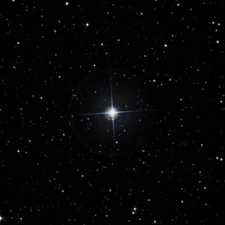 Image of &lambda;-Dor