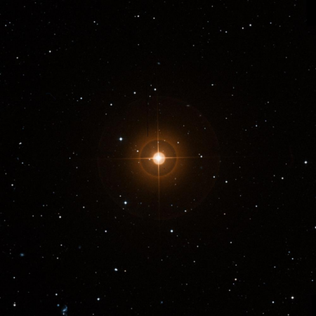 Image of La-Superba