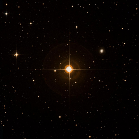 Image of p-Vir