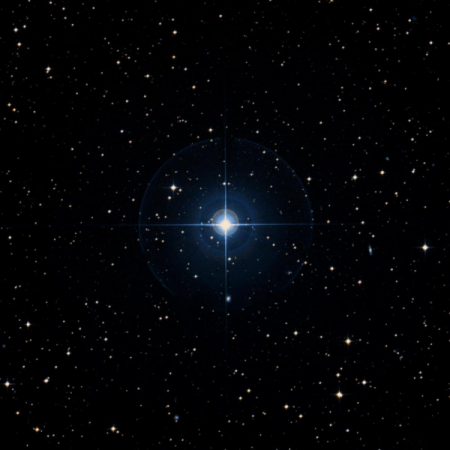 Image of &mu;-Col