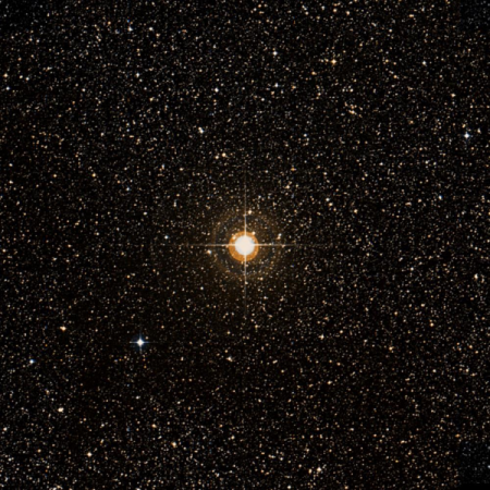 Image of TYC-464-3404-1