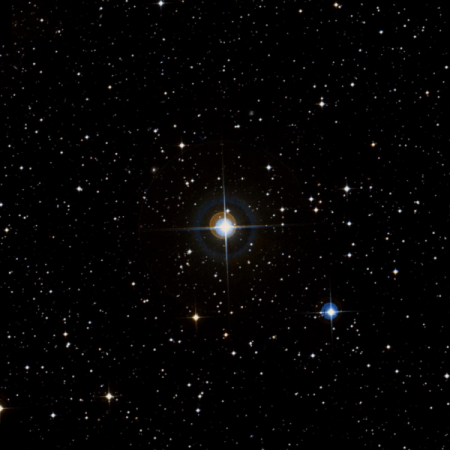 Image of X-Pup