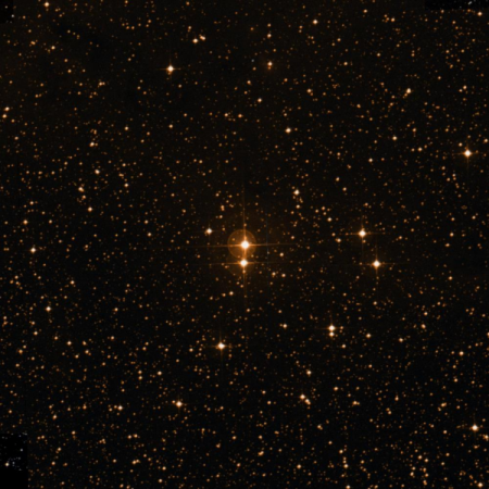 Image of OS-Pup