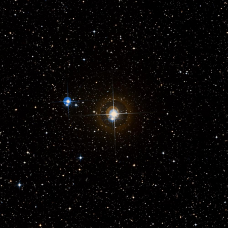 Image of t-Vel