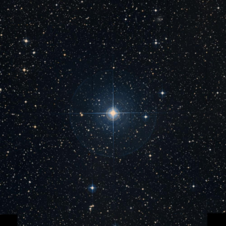 Image of HIP-38010