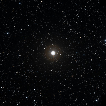 Image of TYC-4063-1714-1