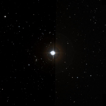 Image of h-Leo