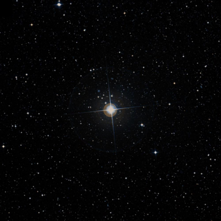 Image of &alpha;-Men