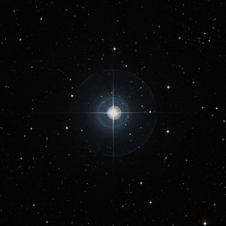 Image of &beta;-Sex