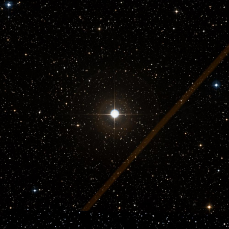 Image of d-Cyg